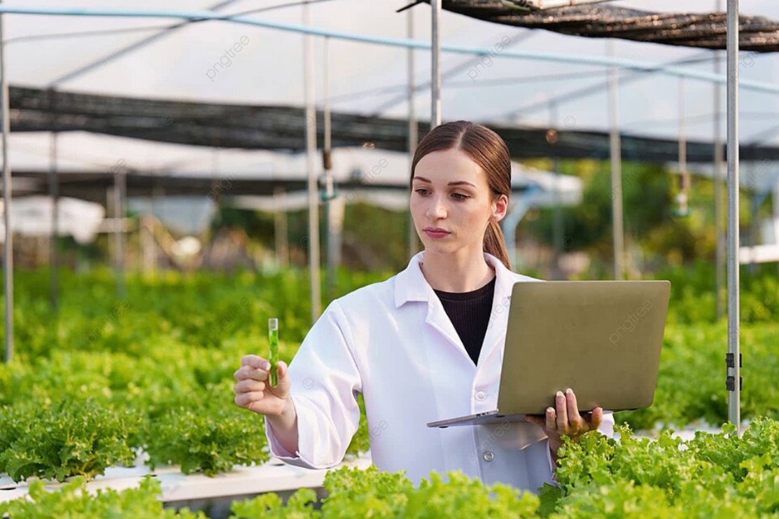 Equipo de trabajo IAP