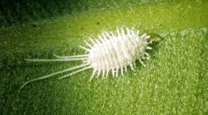 Capacitación empresarial